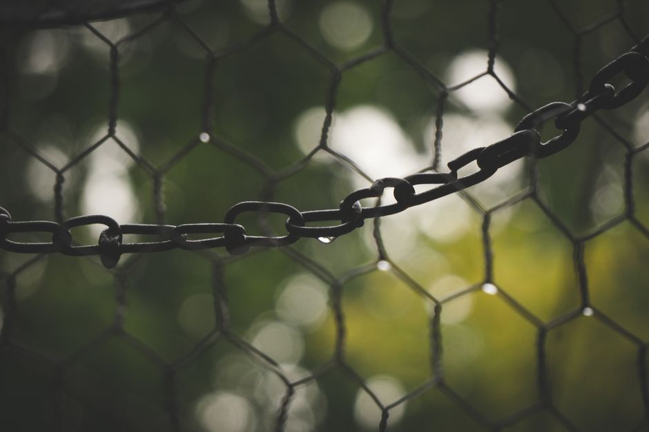 Chainlink: Eine lukrative Investition