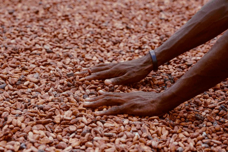 Cocoa Futures steigen durch verbesserte Ernteprognosen.