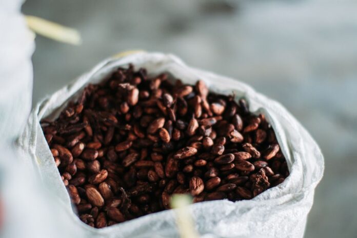 Cocoa Futures steigen durch verbesserte Ernteprognosen.