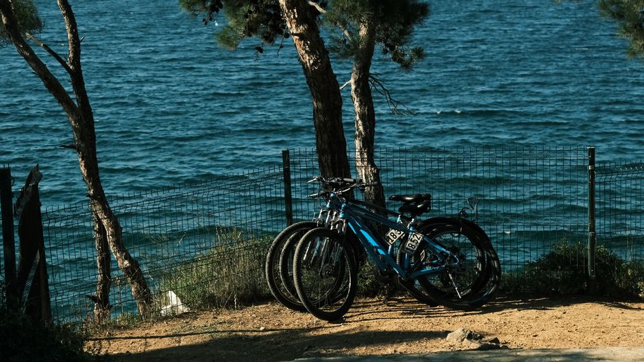 Darß: Ein verstecktes Paradies an der Nordsee