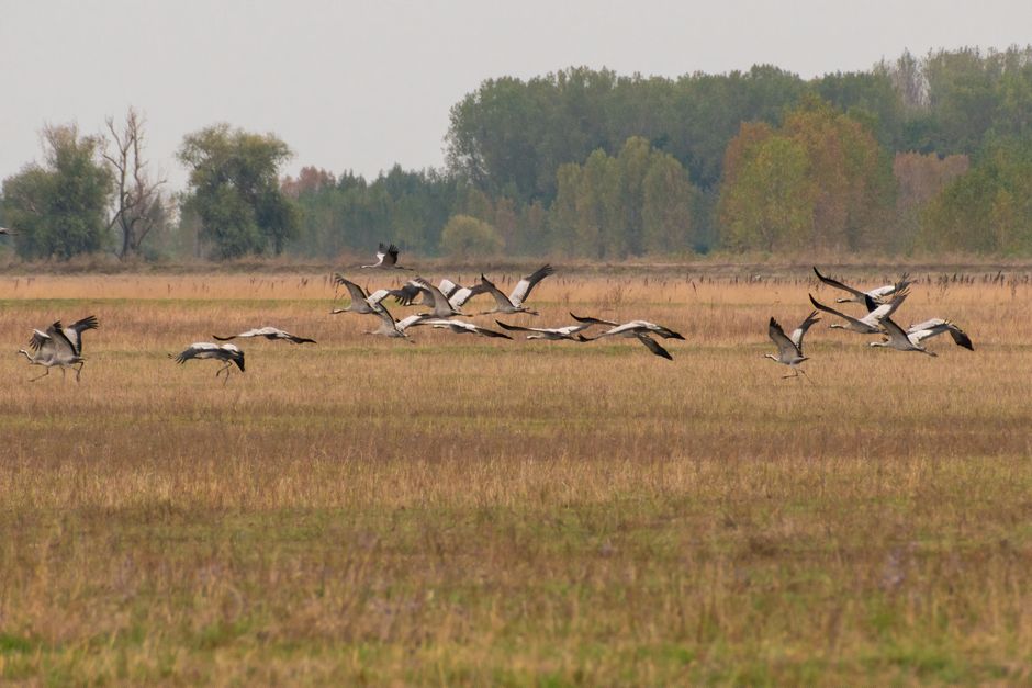 Darß: Ein verstecktes Paradies an der Nordsee
