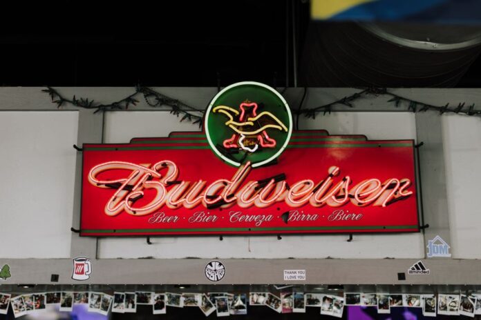 Diageo: Marktanalysen und Aktienbewertung