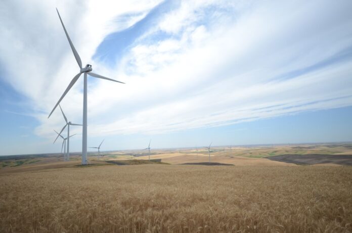 Divergenz im Sektor der erneuerbaren Energien