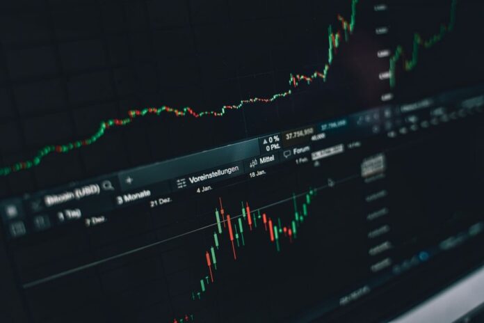 Dividendenrendite Aktien im Fokus