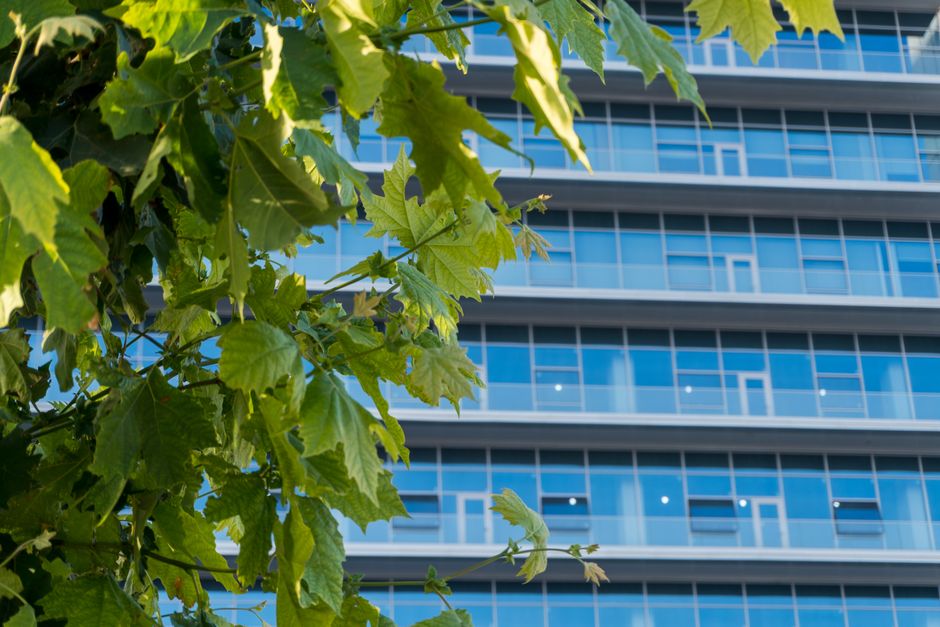 Energieeffiziente Gebäude und KfW-Förderung