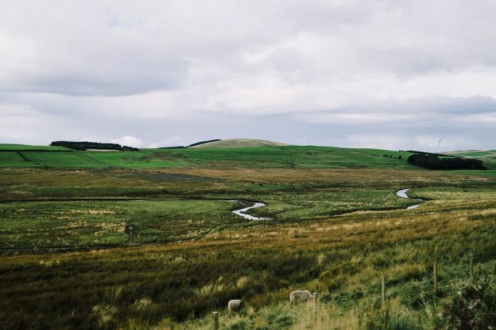 Energiekontor: Windpark in Schottland