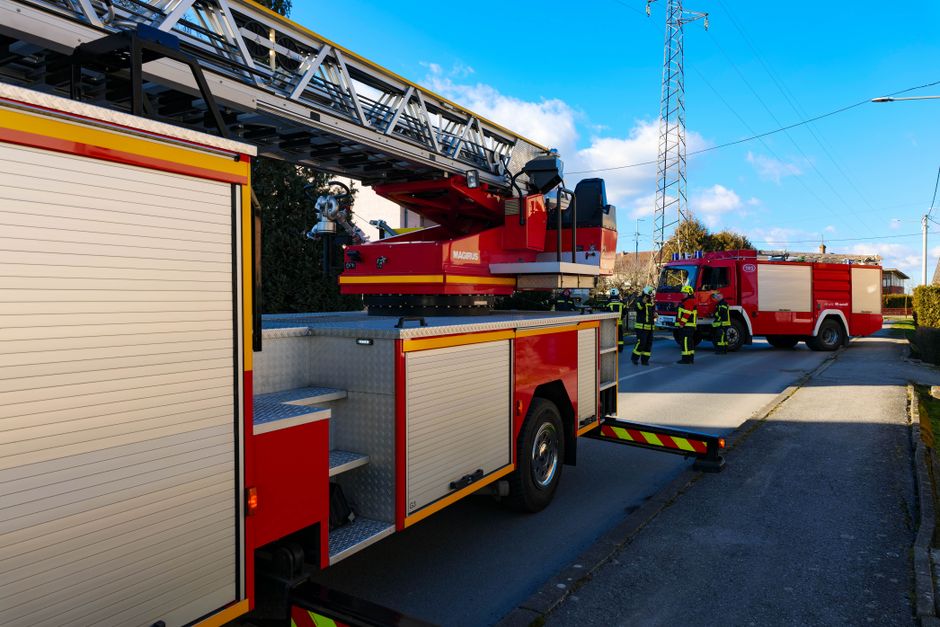 Feuerwehr im Einsatz bei Waldbrand
