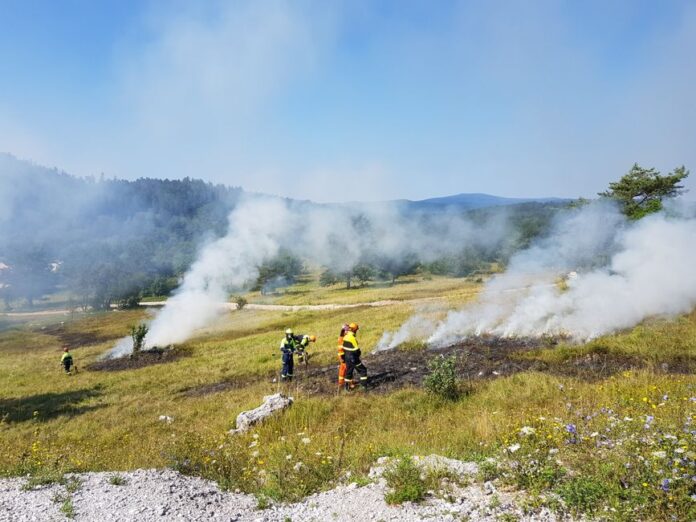Feuerwehr im Einsatz bei Waldbrand
