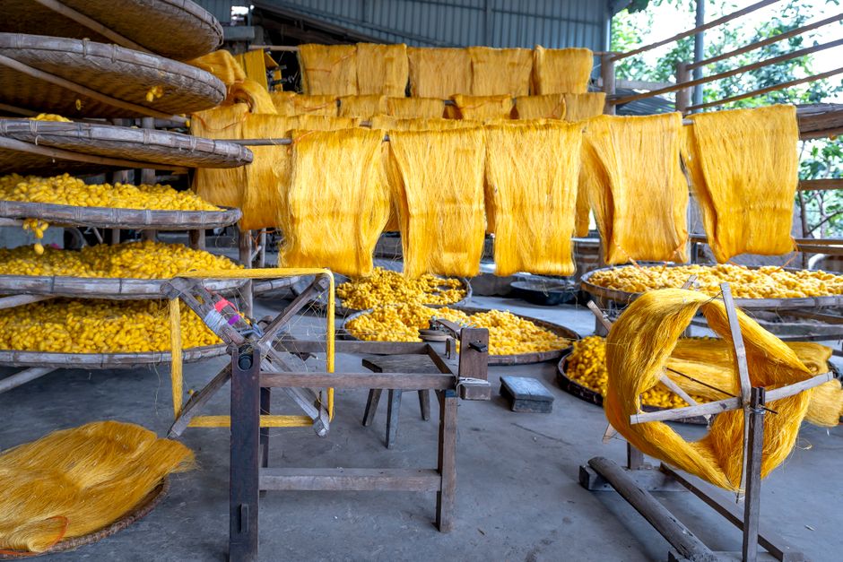 Finanzkonferenz von Eastern Silk Industries