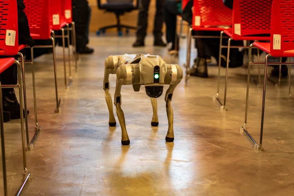 Fortschrittliche Robotik auf der Konferenz