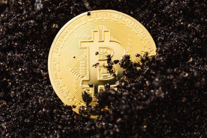 Fractal Bitcoin Halving und Marktanalyse