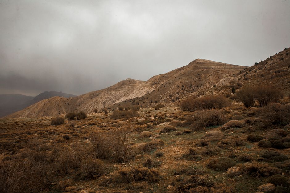Goldkauf der Emirate im Fokus