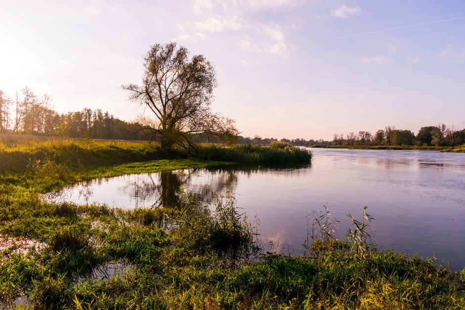Großes Sanierungsobjekt im Oderbruch