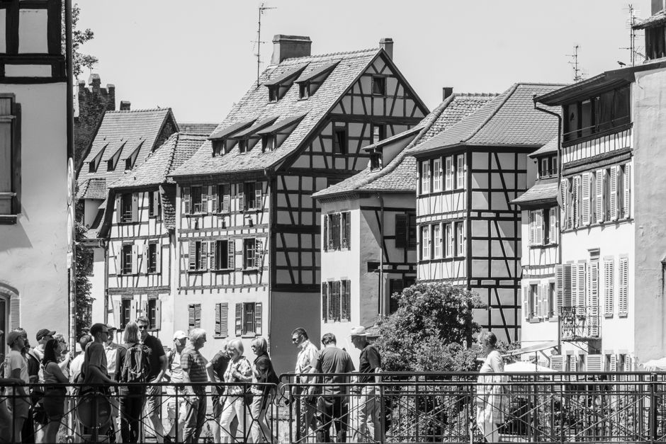 Immobilienmarkt in Pieschen 2026