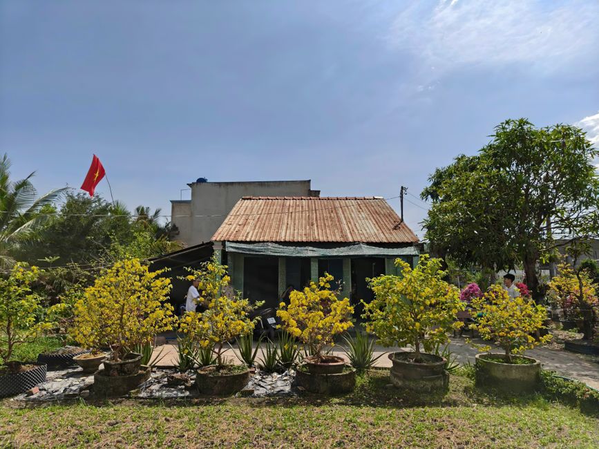 Immobilienmarkt in Tay Ninh