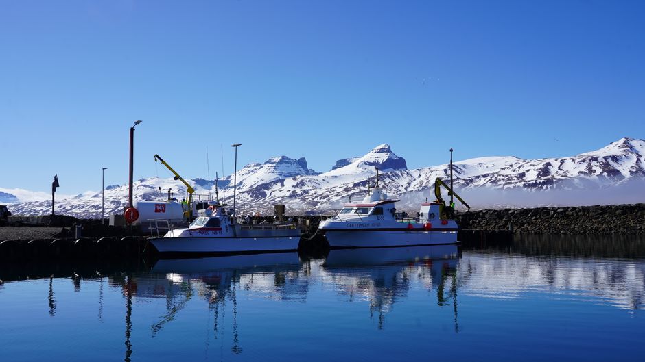 Islands Entscheidung über den EU-Beitritt