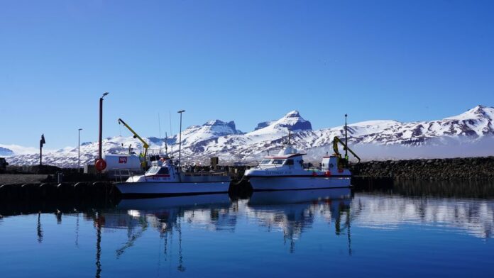 Islands Landschaft und Wirtschaft im Fokus