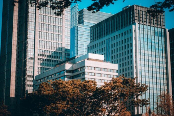 Japanische Unternehmen und ihre Konjunkturerwartungen