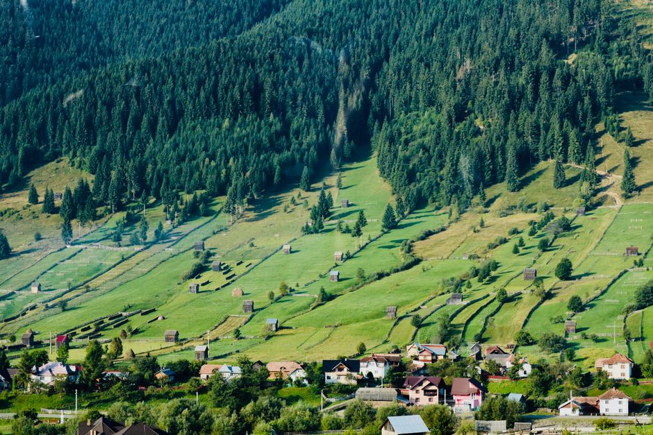 Kühler gelegene Wohnlagen im Rekordsommer