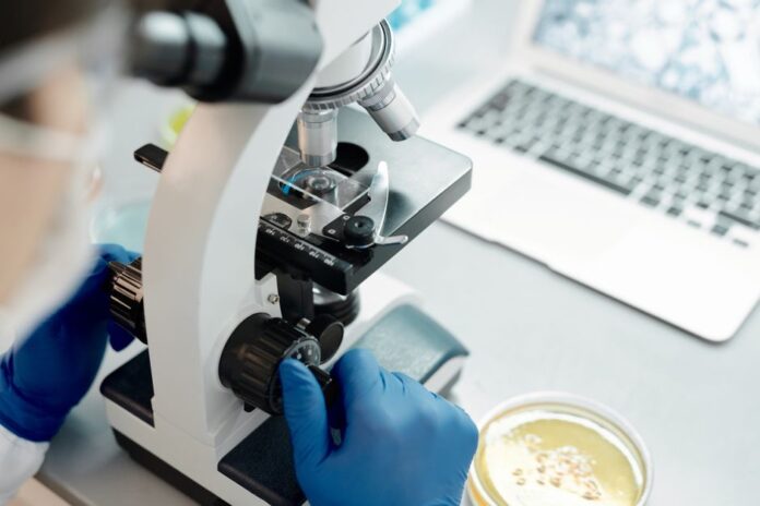 Merck: Prognoseanhebung nach starkem Quartal