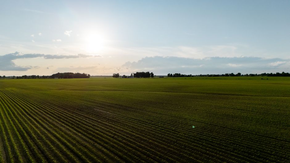 Nachhaltige Landwirtschaft und Investitionen
