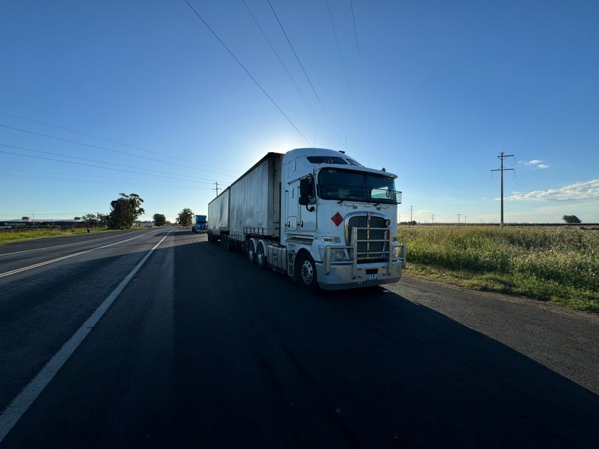 Niedrigwasser beeinträchtigt den Gütertransport