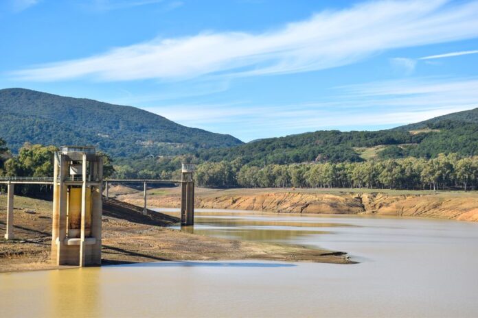 Niedrigwasser im Rhein gefährdet die Schifffahrt