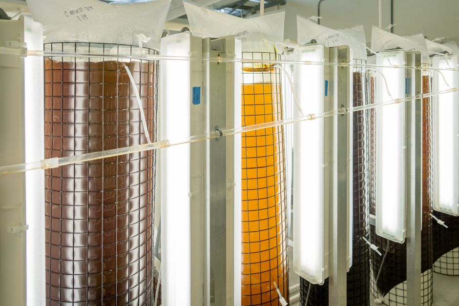 Nu-Tek BioSciences auf der BPI East 2026