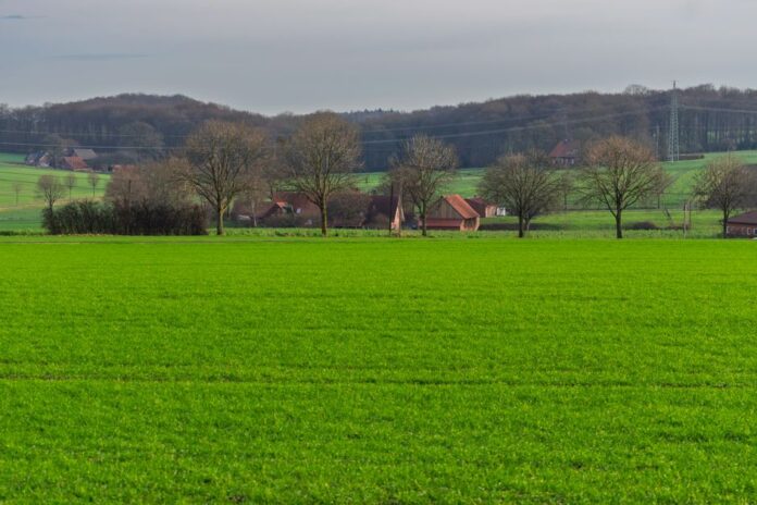 Pauschalierung in der Landwirtschaft