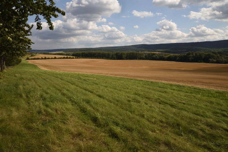 Politische Diskussion in Sachsen-Anhalt
