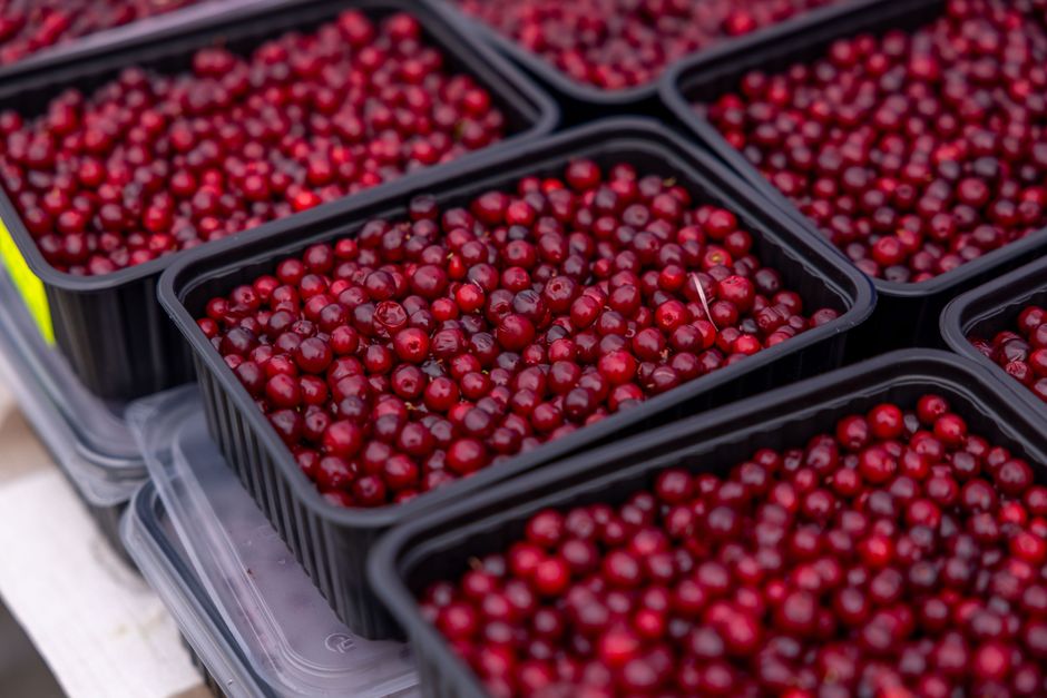 Qualität und Nachhaltigkeit in der Beeren-Lieferkette