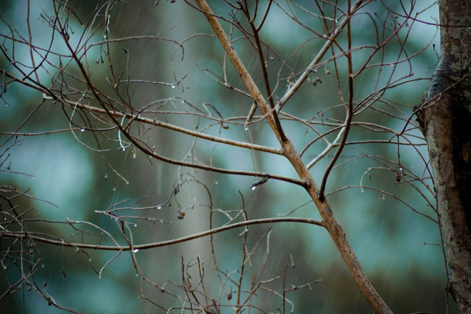 Regen bringt Erleichterung im Waldbrandgebiet