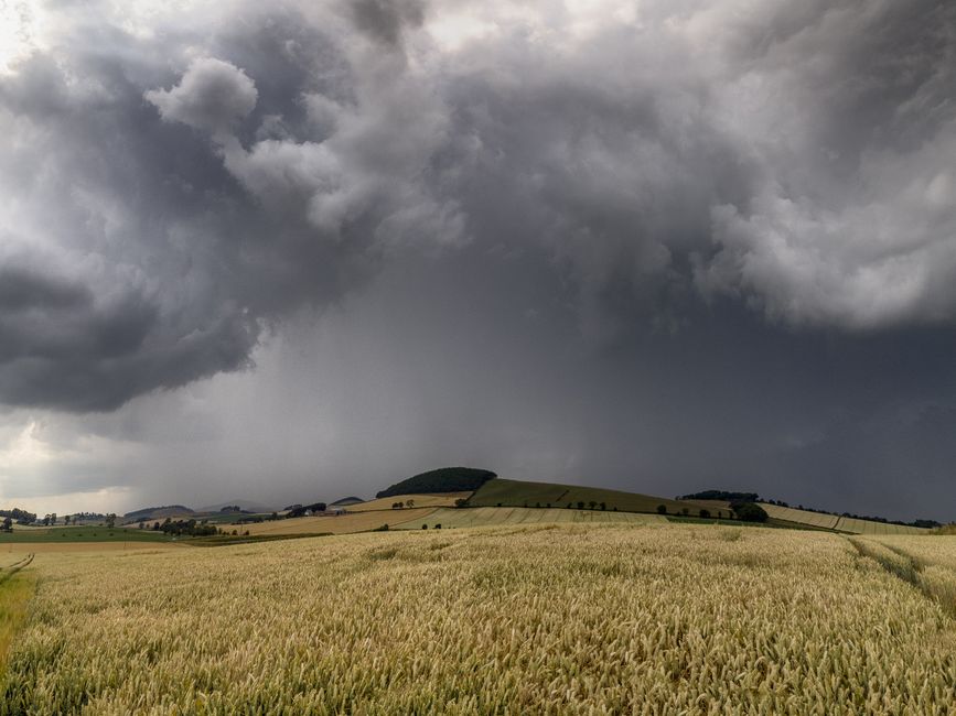 Regen bringt Erleichterung nach langer Trockenheit