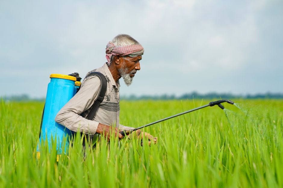 Syngenta: Wachstum im operativen Gewinn