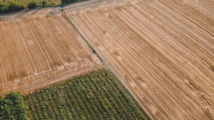 Syngenta: Wachstum im operativen Gewinn
