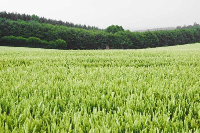 Thüringer Landschaft mit kommunalen Gebäuden