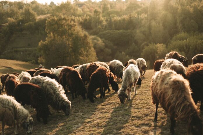 Tierhaltungslogo und seine Bedeutung