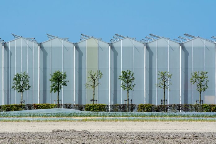 Transparente Solarzellen in modernen Gebäuden