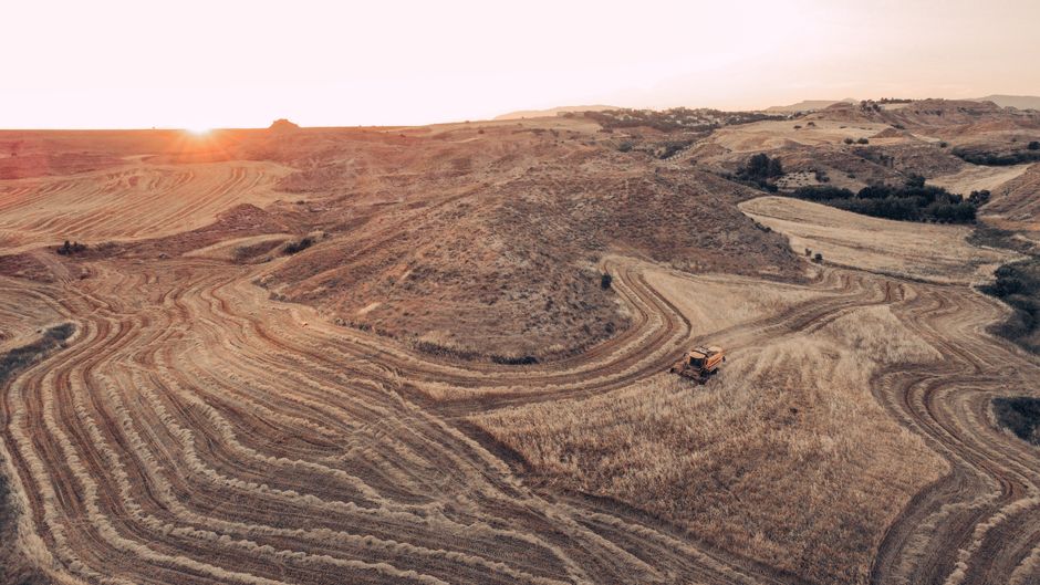 Trockenheit beeinträchtigt die Ernte in Deutschland.