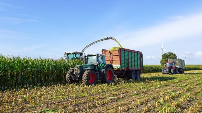Verbio SE: Fortschritt in der Biokraftstoffproduktion