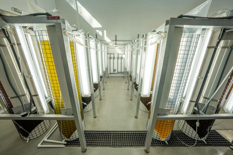 Verteidigungsimmobilien im Fokus
