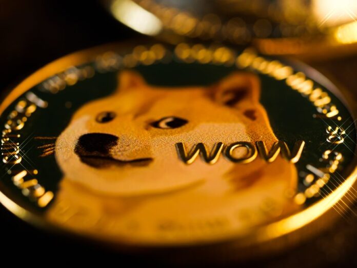 Wal-Käufe von Dogecoin im Fokus