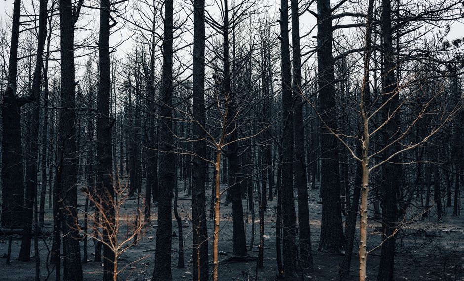 Waldbrände westlich von Athen unter Kontrolle