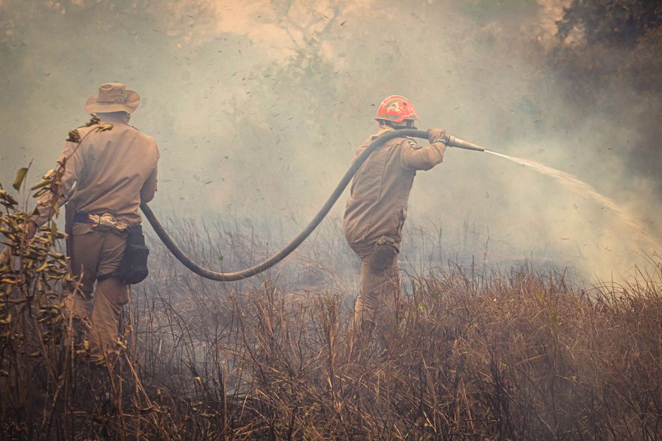 Waldbrand in Hürtgenwald: Evakuierung im Gange.
