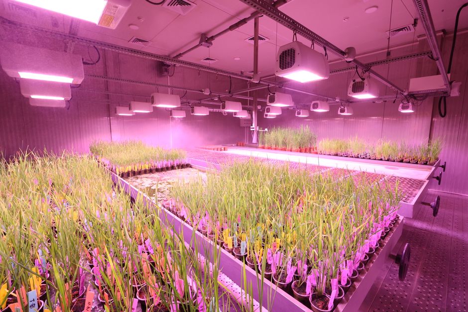 Bayer: Analysten empfehlen Kauf