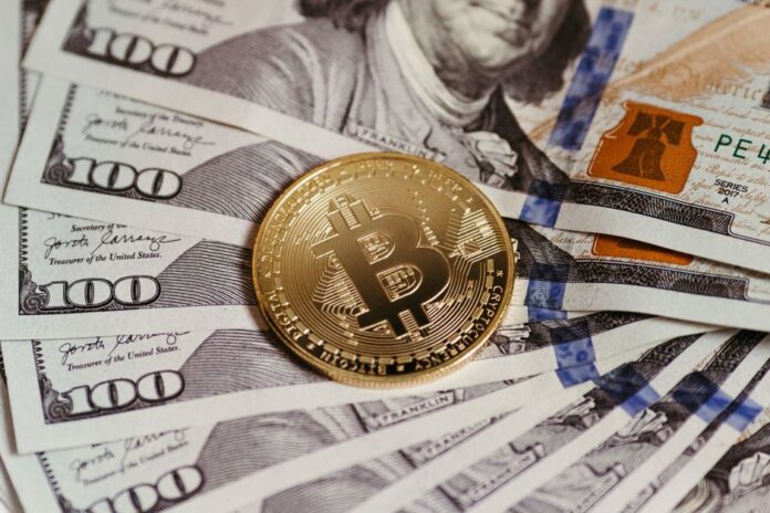 Bitcoin Cash: Renditen und Marktbewegungen