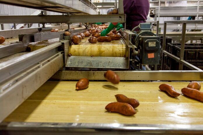 Conagra-Brands-Aktie unter Druck im Lebensmittelsektor