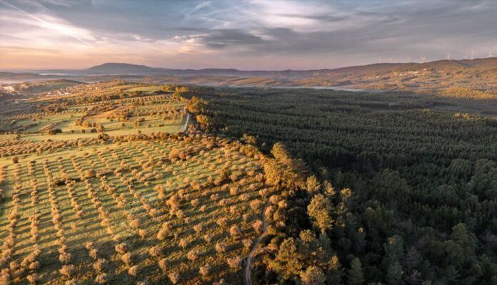 EDP-Aktie im Fokus der Energiewende