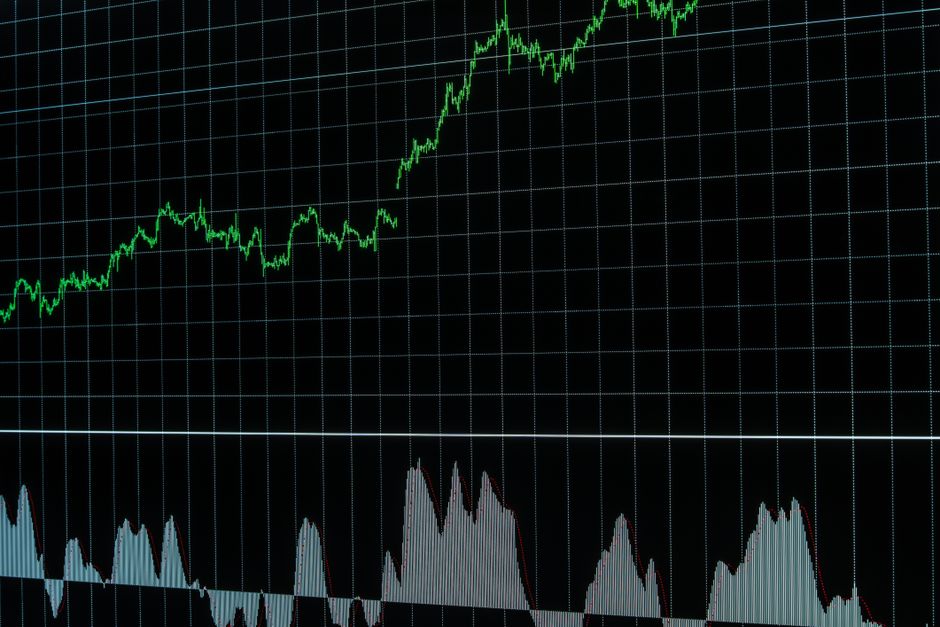 Finanzanalyse und Wachstumstrends bei Termo-Rex
