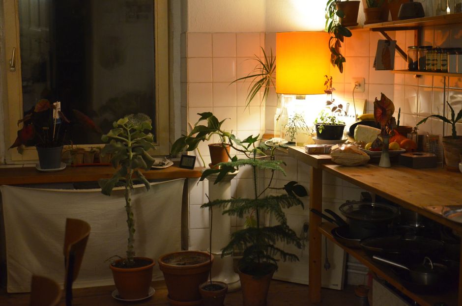 Küchenanbau als nachhaltige Anlagemöglichkeit